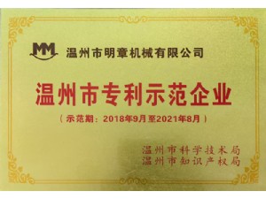 獲2018-2021溫州市專利示范企業(yè)